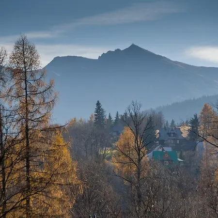 Willa Gardenia Zakopane Room photo